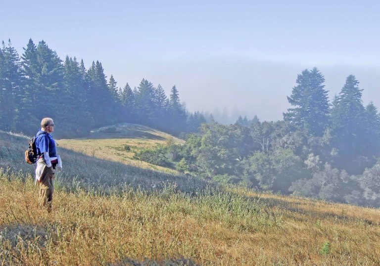 Getting Out: Stillness and silence bring out beauty