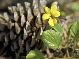 You need a break in solitude