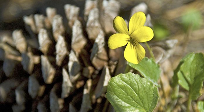 You need a break in solitude