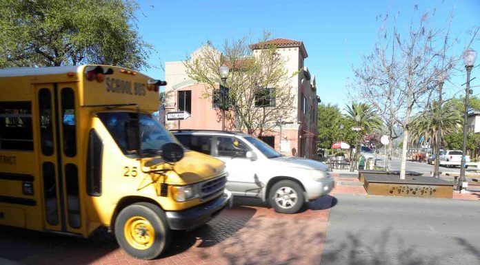 Pedestrian collision turns focus on downtown safety