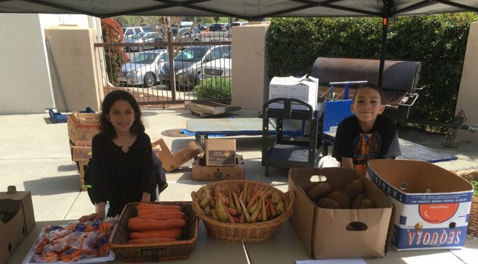 Free farmers market brings fresh produce to South County families