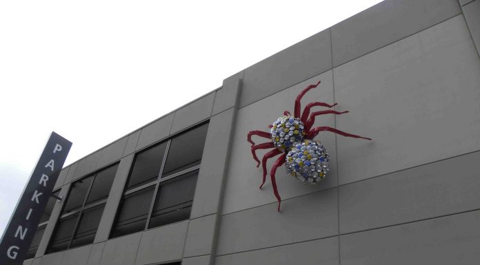 UPDATED: Tarantula art piece mounted on Fourth Street parking garage