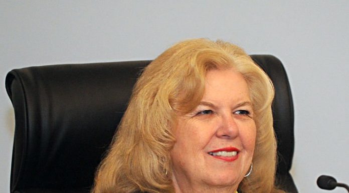 Council laments denial of SEQ project