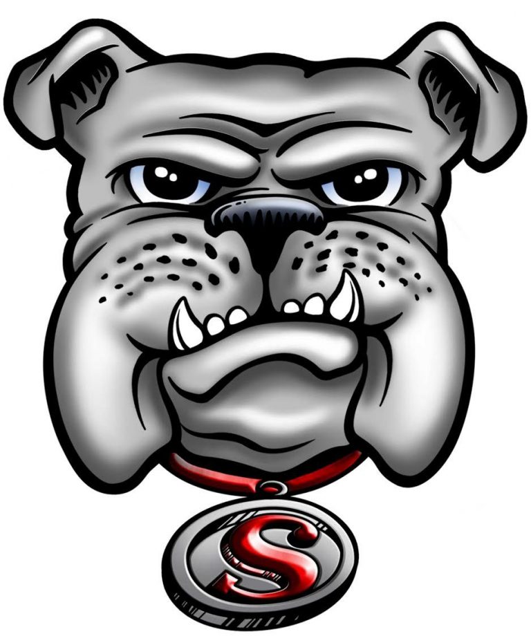 Prep Softball: Cougars rally in 4th do down Sobrato, 3-0