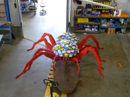 City to install tarantula March 3