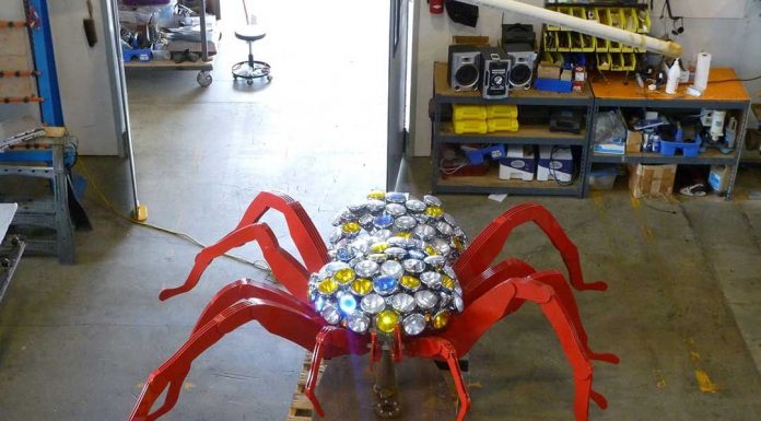 City to install tarantula March 3