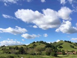 ‘Champions play here’