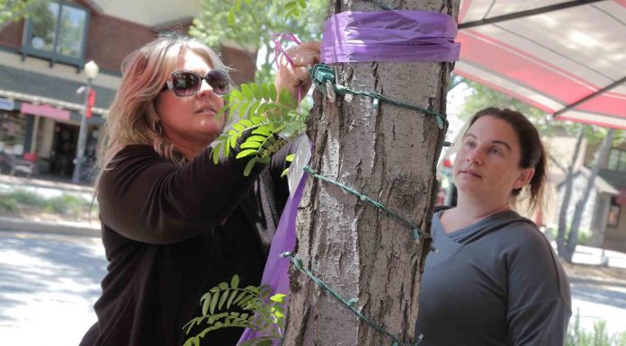 Painting the Town Purple