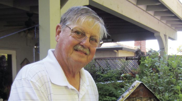 Building scenic birdhouses