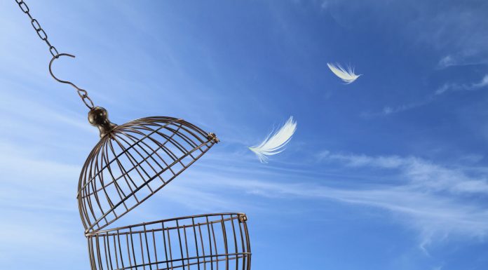 Dark glasses for two