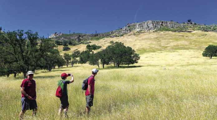 Backpacking at Henry Coe