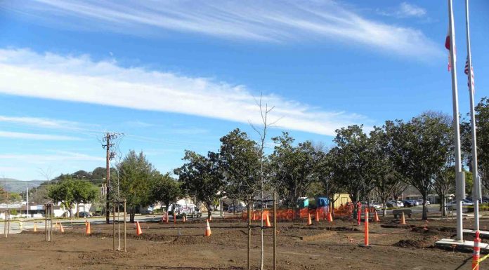 Red Phone: Why new lawns, swimming pools during drought?