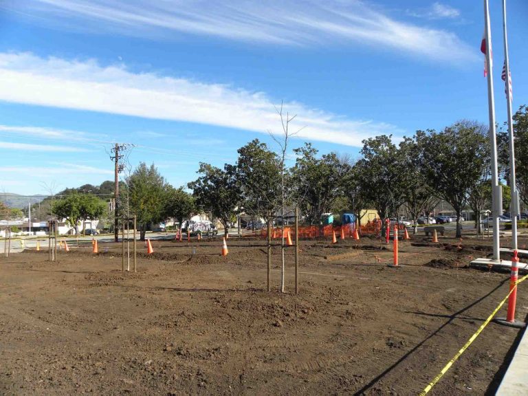 Red Phone: Why new lawns, swimming pools during drought?