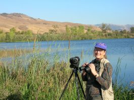 Birds of the South Valley