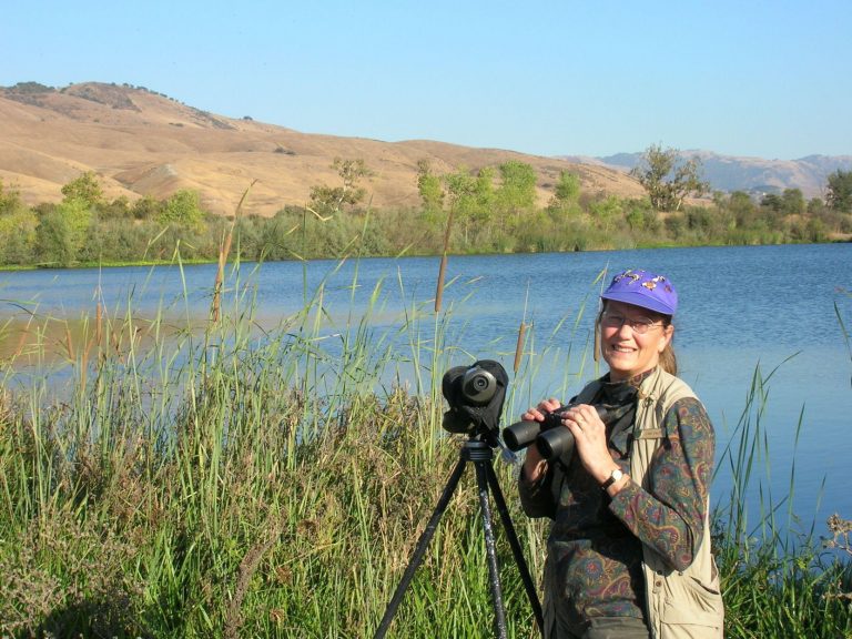 Birds of the South Valley