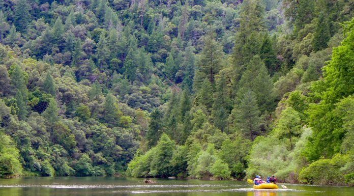 Rafting on the Middle Fork of the American River