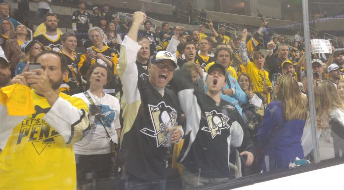 Magical season ends for Sharks