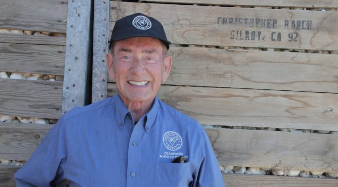 Hot treasured cloves