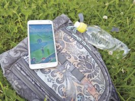Hunting Pokémon