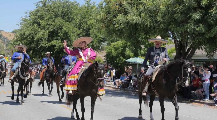 Photo gallery: Morgan Hill Freedom Fest 2016
