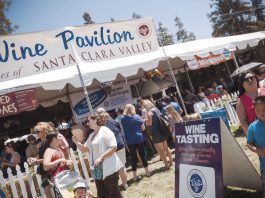 Top wines to pair with the stinking rose