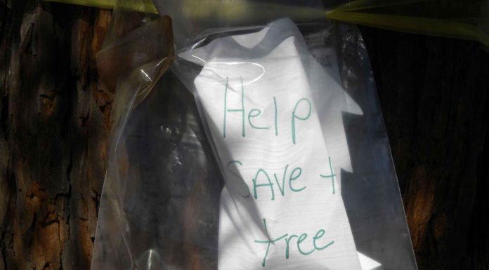 Demolition underway at former liquor store