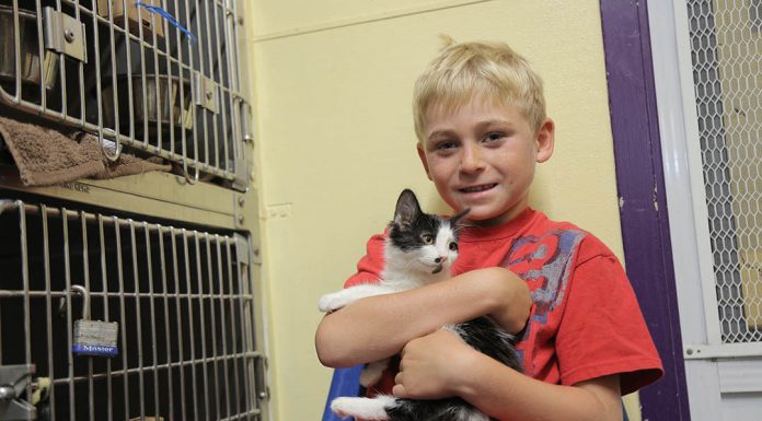 Locals help clear the shelters at free adoption event