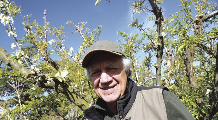 General Plan update: Farming for houses?