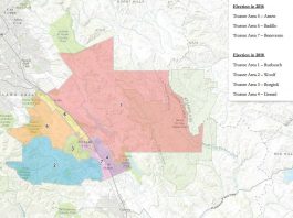 Badillo, Arnett to seek re-election on school board