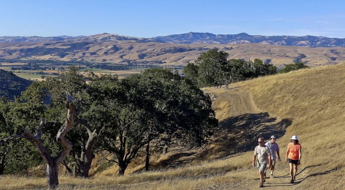 Celebrate ag roots at Coyote Valley Harvest Feast