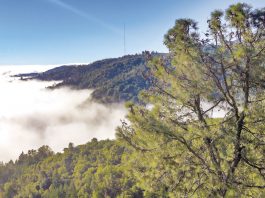 Santa Clara County Parks open for free July 30