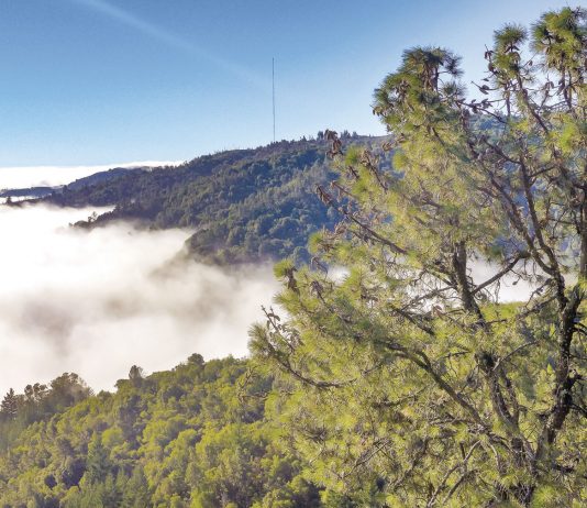 Santa Clara County Parks open for free July 30