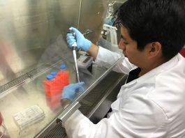 Local students tackle summer research at Stanford