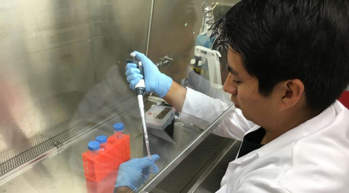 Local students tackle summer research at Stanford