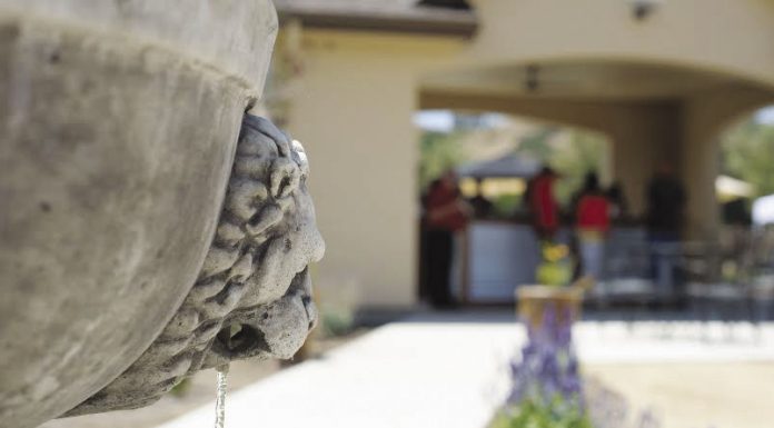 Old world style wines