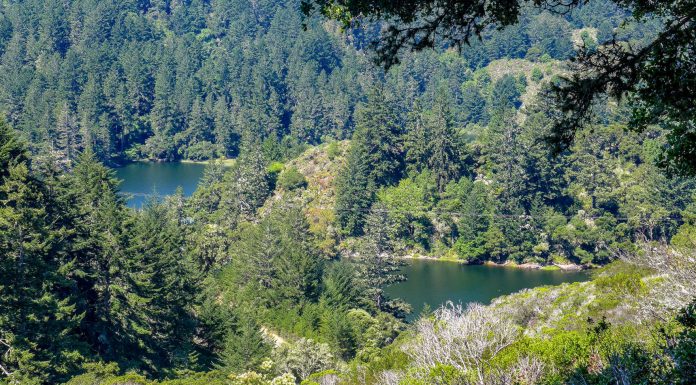 Hiking Peninsula Watershed