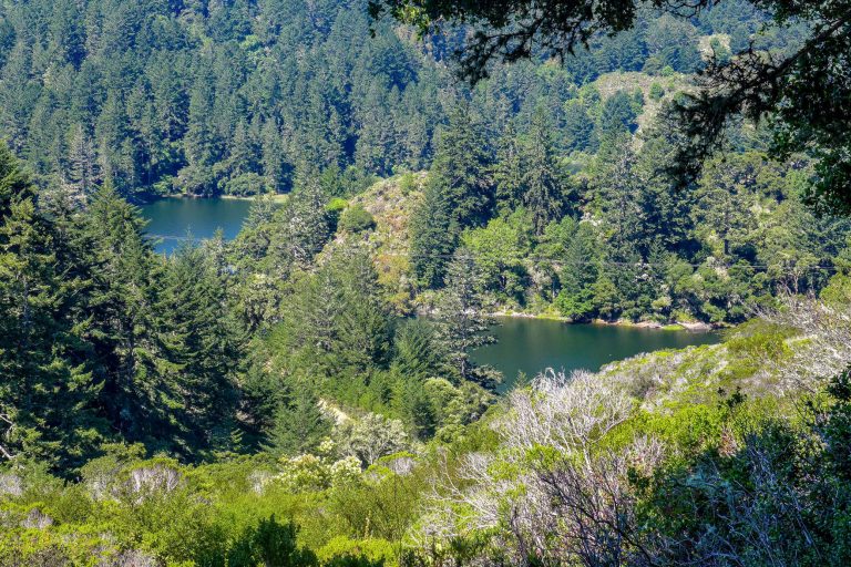 Hiking Peninsula Watershed
