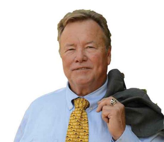 Election: Q&A with mayoral candidates