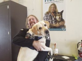 Freedom Paws Stalled