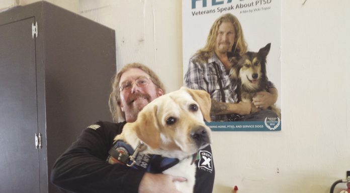 Freedom Paws Stalled