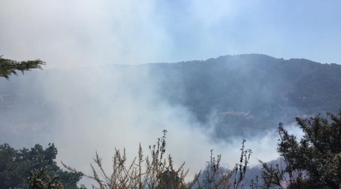Fire breaks out near Chesbro