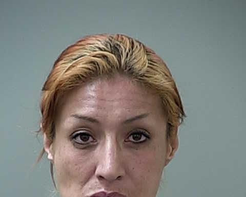 MHPD: K-9 kicked in head while apprehending burglary suspect