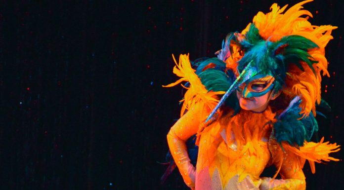 ‘Nutz Re-Mixed!’: A serendipitous adventure