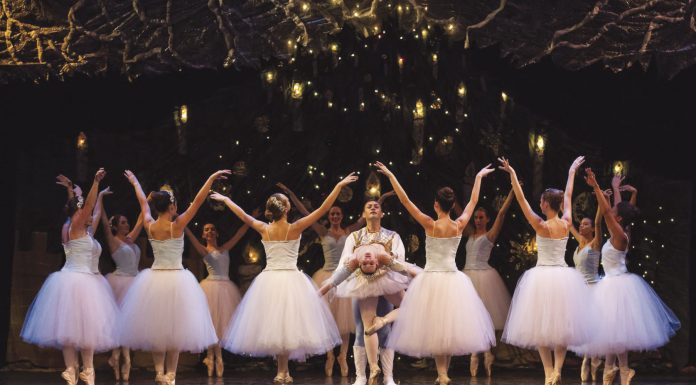 Best of Out & About, Nov 18, 2016