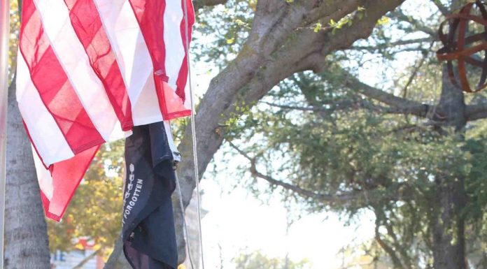 LOHS alum among eight veterans to be honored