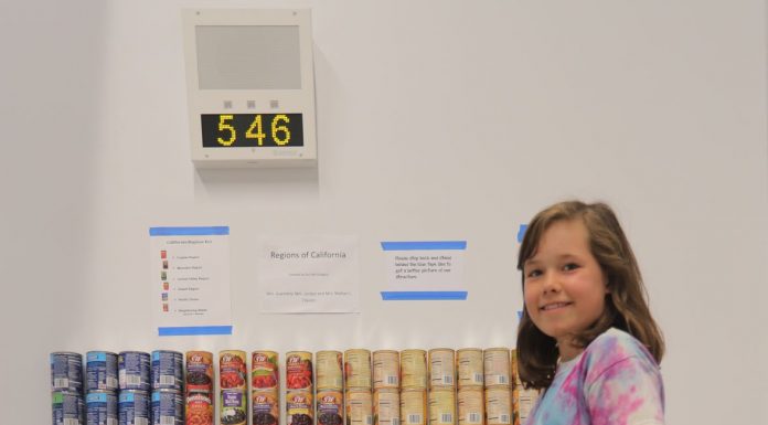 CSMH students build can sculptures, donate to needy