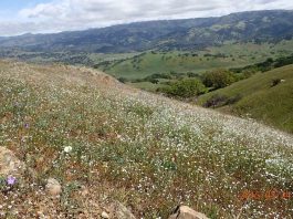 Ranch purchase adds to Bay Area Ridge Trail plan