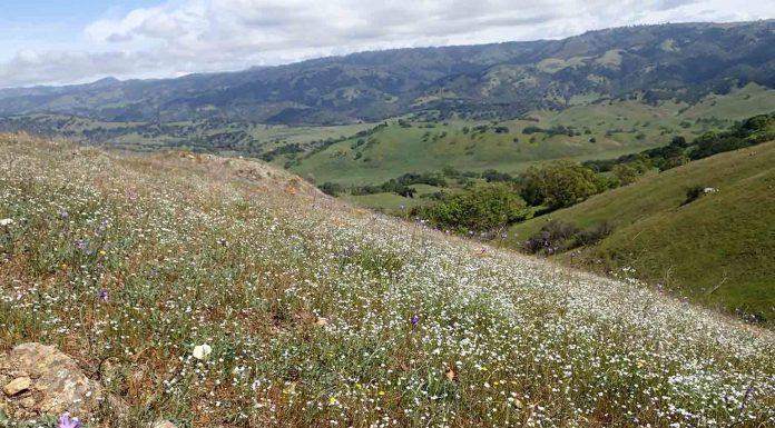 Ranch purchase adds to Bay Area Ridge Trail plan