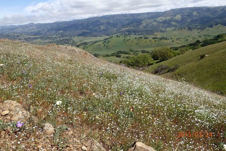 Ranch purchase adds to Bay Area Ridge Trail plan