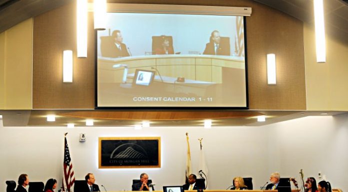 Top four to proceed to second-round interviews for council seat
